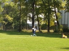 Foto číslo 30
